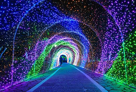 LED隧道灯光源特点